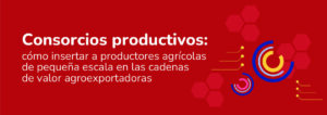 Consorcios productivos: cómo insertar a productores agrícolas de pequeña escala en las cadenas de valor agroexportadoras